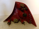 2002 Ford Focus Driver LH Outer Incandescent Tail Light 3 Bulb OEM-7