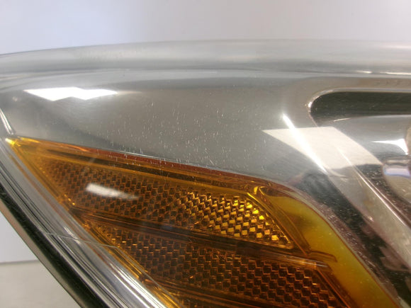 2013 2014 Ford Focus Passenger Rh Chrome Halogen Headlight OEM