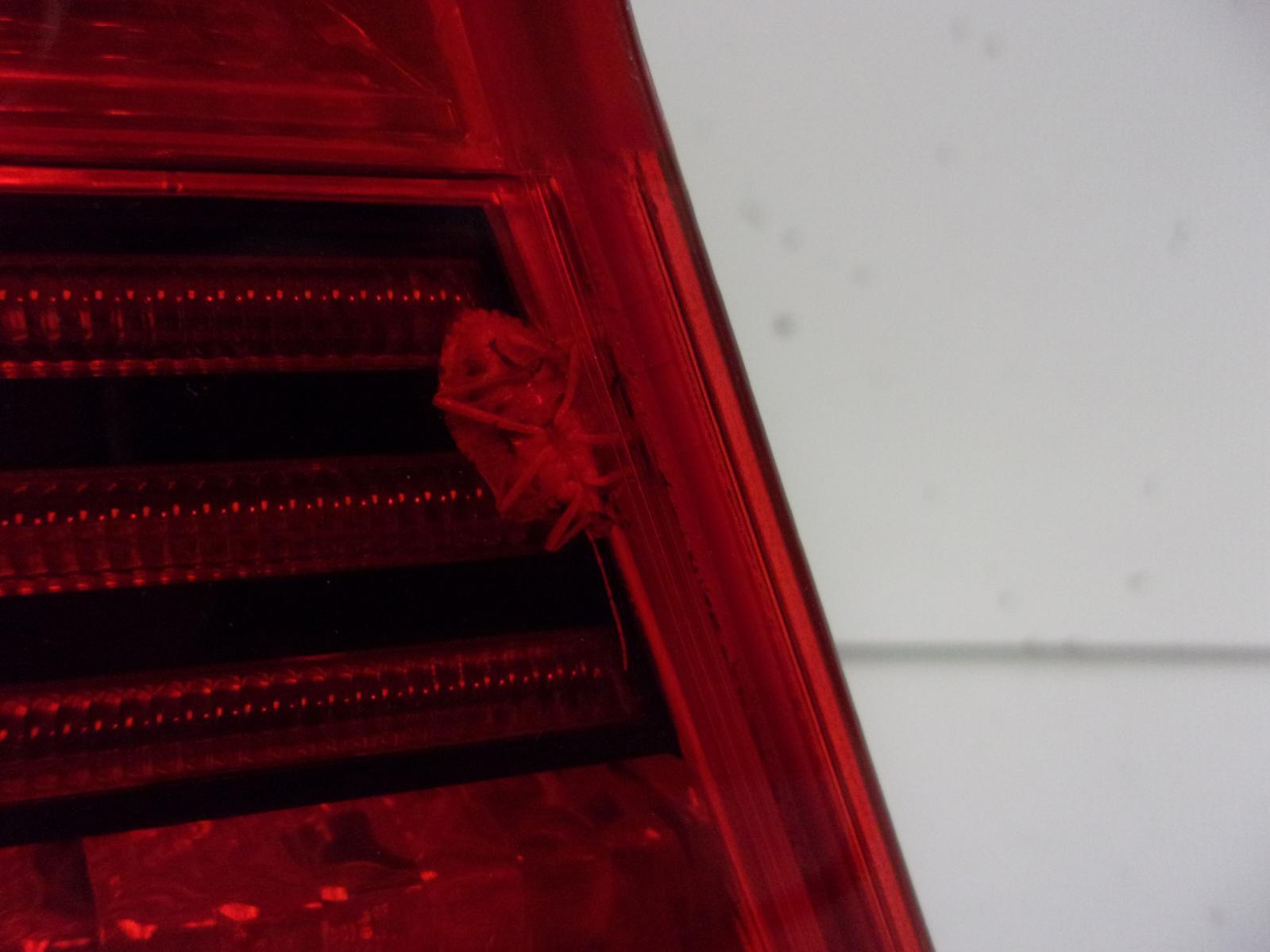 2006 2007 2008 BMW 3-Series Sedan Driver LH Quarter Panel Tail Light OEM