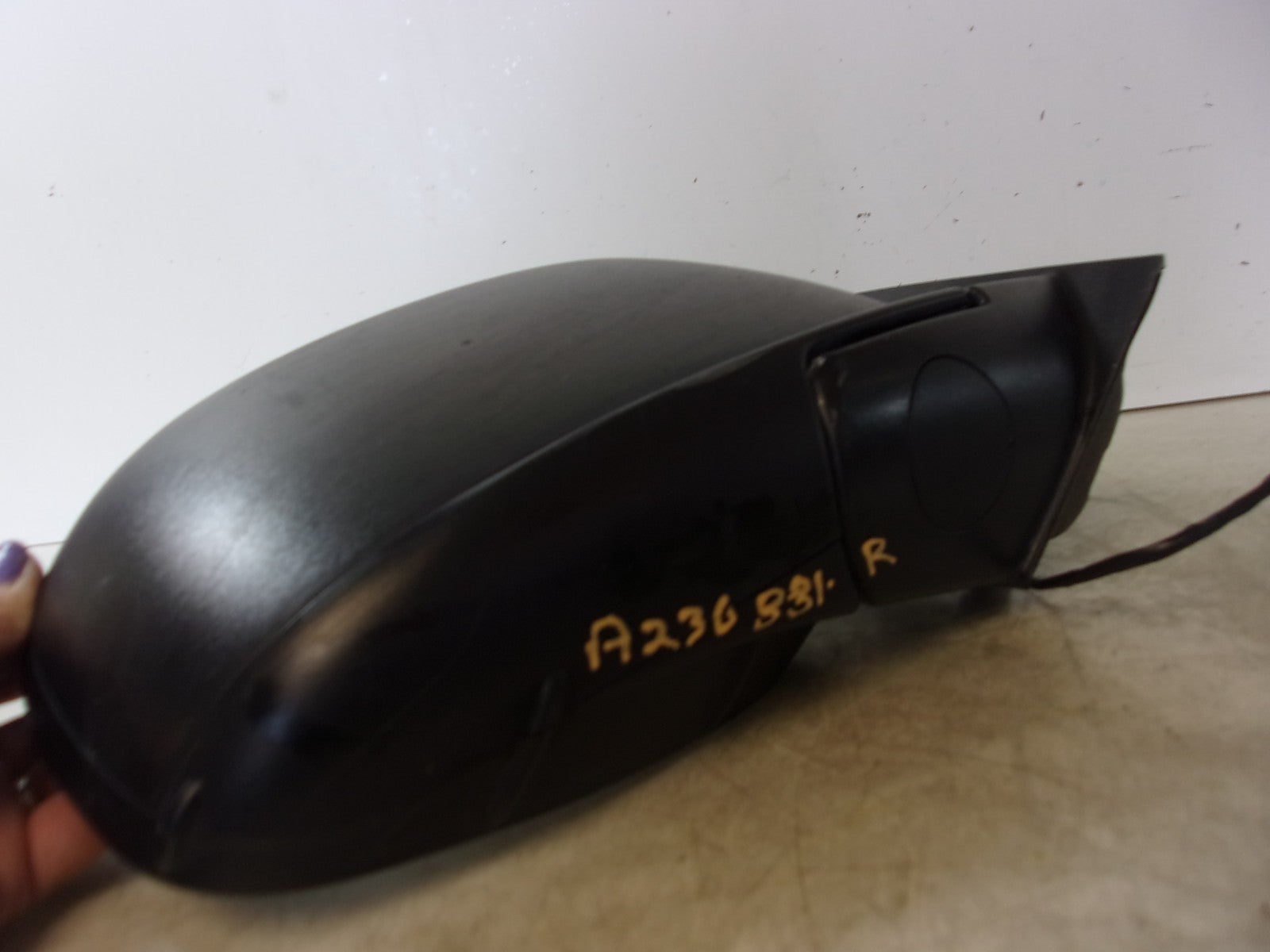 45500835